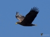 000198_fotowilga~0.JPG