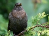 Filename=0001_fotowilga.JPG
Filesize=281KB
Dimensions=700x525
Date added=Sep 05, 2018 0001_fotowilga.JPG