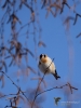 Filename=0001_fotowilga~0.JPG
Filesize=233KB
Dimensions=525x700
Date added=Mar 28, 2019 0001_fotowilga~0.JPG