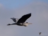 Filename=0001_fotowilga~1.JPG
Filesize=197KB
Dimensions=700x525
Date added=Nov 06, 2019 0001_fotowilga~1.JPG