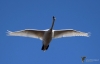 Filename=000204_fotowilga~0.JPG
Filesize=190KB
Dimensions=700x454
Date added=May 03, 2021 000204_fotowilga~0.JPG