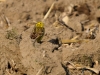 Filename=00020_fotowilga~52.JPG
Filesize=299KB
Dimensions=700x525
Date added=Jan 06, 2019 00020_fotowilga~52.JPG