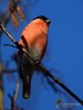 Filename=000217_fotowilga~38.JPG
Filesize=221KB
Dimensions=525x700
Date added=Apr 28, 2018 000217_fotowilga~38.JPG