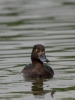 Filename=000218_fotowilga~46.JPG
Filesize=229KB
Dimensions=525x700
Date added=Jun 09, 2018 000218_fotowilga~46.JPG