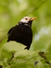 Filename=000224_fotowilga~42.JPG
Filesize=241KB
Dimensions=525x700
Date added=Apr 29, 2018 000224_fotowilga~42.JPG