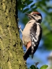 Filename=000224_fotowilga~47.JPG
Filesize=387KB
Dimensions=525x700
Date added=Jun 12, 2019 000224_fotowilga~47.JPG