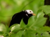 Filename=000226_fotowilga~47.JPG
Filesize=237KB
Dimensions=700x525
Date added=Apr 29, 2018 000226_fotowilga~47.JPG