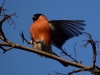 Filename=000227_fotowilga~35.JPG
Filesize=232KB
Dimensions=700x525
Date added=Jan 19, 2018 000227_fotowilga~35.JPG
