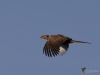 Filename=00022_fotowilga~63.JPG
Filesize=216KB
Dimensions=700x525
Date added=Mar 10, 2019 00022_fotowilga~63.JPG