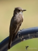 Filename=00022_fotowilga~67.JPG
Filesize=213KB
Dimensions=525x700
Date added=Jul 16, 2019 00022_fotowilga~67.JPG