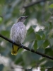 Filename=000234_fotowilga~31.JPG
Filesize=256KB
Dimensions=525x700
Date added=Jul 13, 2017 000234_fotowilga~31.JPG