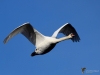 Filename=000242_fotowilga~50.JPG
Filesize=196KB
Dimensions=700x525
Date added=Feb 24, 2019 000242_fotowilga~50.JPG
