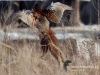 Filename=000246_fotowilga~26.JPG
Filesize=146KB
Dimensions=640x480
Date added=Mar 09, 2017 000246_fotowilga~26.JPG