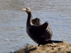 Filename=000249_fotowilga~0.JPG
Filesize=307KB
Dimensions=700x531
Date added=Mar 07, 2021 000249_fotowilga~0.JPG