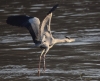 Filename=000252_fotowilga~0.JPG
Filesize=297KB
Dimensions=700x567
Date added=Oct 19, 2021 000252_fotowilga~0.JPG