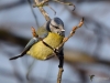 Filename=000253_fotowilga.JPG
Filesize=252KB
Dimensions=700x525
Date added=May 28, 2019 000253_fotowilga.JPG