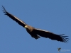 Filename=000256_fotowilga~56.JPG
Filesize=224KB
Dimensions=700x525
Date added=Dec 23, 2019 000256_fotowilga~56.JPG