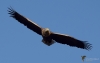 Filename=000258_fotowilga~52.JPG
Filesize=180KB
Dimensions=700x445
Date added=Dec 18, 2019 000258_fotowilga~52.JPG