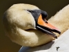 Filename=000259_fotowilga~34.JPG
Filesize=254KB
Dimensions=700x525
Date added=May 06, 2018 000259_fotowilga~34.JPG