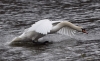 Filename=000262_fotowilga.JPG
Filesize=278KB
Dimensions=700x429
Date added=Mar 29, 2021 000262_fotowilga.JPG