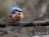 Filename=000263_fotowilga~34.JPG
Filesize=76KB
Dimensions=640x480
Date added=Mar 08, 2017 000263_fotowilga~34.JPG