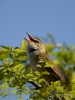 Filename=000270_fotowilga~49.JPG
Filesize=247KB
Dimensions=525x700
Date added=May 11, 2018 000270_fotowilga~49.JPG