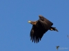 000273_fotowilga.JPG
