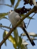 Filename=000273_fotowilga~40.JPG
Filesize=245KB
Dimensions=525x700
Date added=Oct 18, 2019 000273_fotowilga~40.JPG