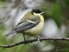 Filename=000274_fotowilga~48.JPG
Filesize=282KB
Dimensions=700x525
Date added=Jul 16, 2019 000274_fotowilga~48.JPG