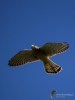 Filename=000278_fotowilga.JPG
Filesize=187KB
Dimensions=525x700
Date added=Oct 15, 2018 000278_fotowilga.JPG