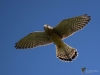 Filename=000279_fotowilga~37.JPG
Filesize=203KB
Dimensions=700x525
Date added=Oct 10, 2018 000279_fotowilga~37.JPG