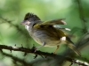 Filename=000287_fotowilga~52.JPG
Filesize=288KB
Dimensions=700x525
Date added=Jul 19, 2019 000287_fotowilga~52.JPG