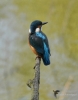 Filename=000288_fotowilga~23.JPG
Filesize=204KB
Dimensions=550x700
Date added=Feb 01, 2019 000288_fotowilga~23.JPG