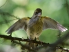 Filename=000289_fotowilga~43.JPG
Filesize=268KB
Dimensions=700x525
Date added=Jul 19, 2019 000289_fotowilga~43.JPG
