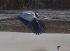 Filename=00028_fotowilga~0.JPG
Filesize=268KB
Dimensions=700x517
Date added=Jan 26, 2022 00028_fotowilga~0.JPG
