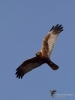 Filename=000292_fotowilga~51.JPG
Filesize=203KB
Dimensions=525x700
Date added=Apr 14, 2018 000292_fotowilga~51.JPG
