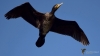Filename=000293_fotowilga.JPG
Filesize=154KB
Dimensions=700x398
Date added=Jul 09, 2019 000293_fotowilga.JPG