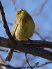 Filename=000295_fotowilga~31.JPG
Filesize=260KB
Dimensions=525x700
Date added=Feb 22, 2019 000295_fotowilga~31.JPG