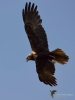 Filename=000295_fotowilga~37.JPG
Filesize=179KB
Dimensions=525x700
Date added=Jul 26, 2017 000295_fotowilga~37.JPG