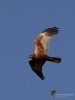 Filename=000295_fotowilga~46.JPG
Filesize=237KB
Dimensions=525x700
Date added=Apr 14, 2018 000295_fotowilga~46.JPG
