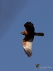 Filename=000296_fotowilga~37.JPG
Filesize=227KB
Dimensions=525x700
Date added=Apr 14, 2018 000296_fotowilga~37.JPG