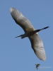 Filename=000301_fotowilga~42.JPG
Filesize=207KB
Dimensions=525x700
Date added=Sep 10, 2019 000301_fotowilga~42.JPG