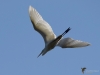 Filename=000304_fotowilga~45.JPG
Filesize=196KB
Dimensions=700x525
Date added=Dec 21, 2019 000304_fotowilga~45.JPG