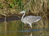 Filename=000306_fotowilga~52.JPG
Filesize=351KB
Dimensions=700x525
Date added=Nov 26, 2019 000306_fotowilga~52.JPG