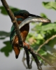 Filename=000336_fotowilga~31.JPG
Filesize=240KB
Dimensions=560x700
Date added=Nov 27, 2018 000336_fotowilga~31.JPG