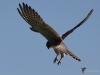Filename=000342_fotowilga~35.JPG
Filesize=208KB
Dimensions=700x525
Date added=Aug 04, 2018 000342_fotowilga~35.JPG