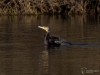 Filename=000345_fotowilga.JPG
Filesize=261KB
Dimensions=700x525
Date added=Jul 19, 2019 000345_fotowilga.JPG