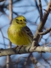 Filename=000349_fotowilga~29.JPG
Filesize=267KB
Dimensions=525x700
Date added=Feb 22, 2019 000349_fotowilga~29.JPG