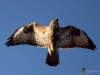 000367_fotowilga.JPG