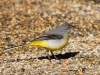 Filename=000382_fotowilga~26.JPG
Filesize=341KB
Dimensions=700x525
Date added=Aug 07, 2018 000382_fotowilga~26.JPG